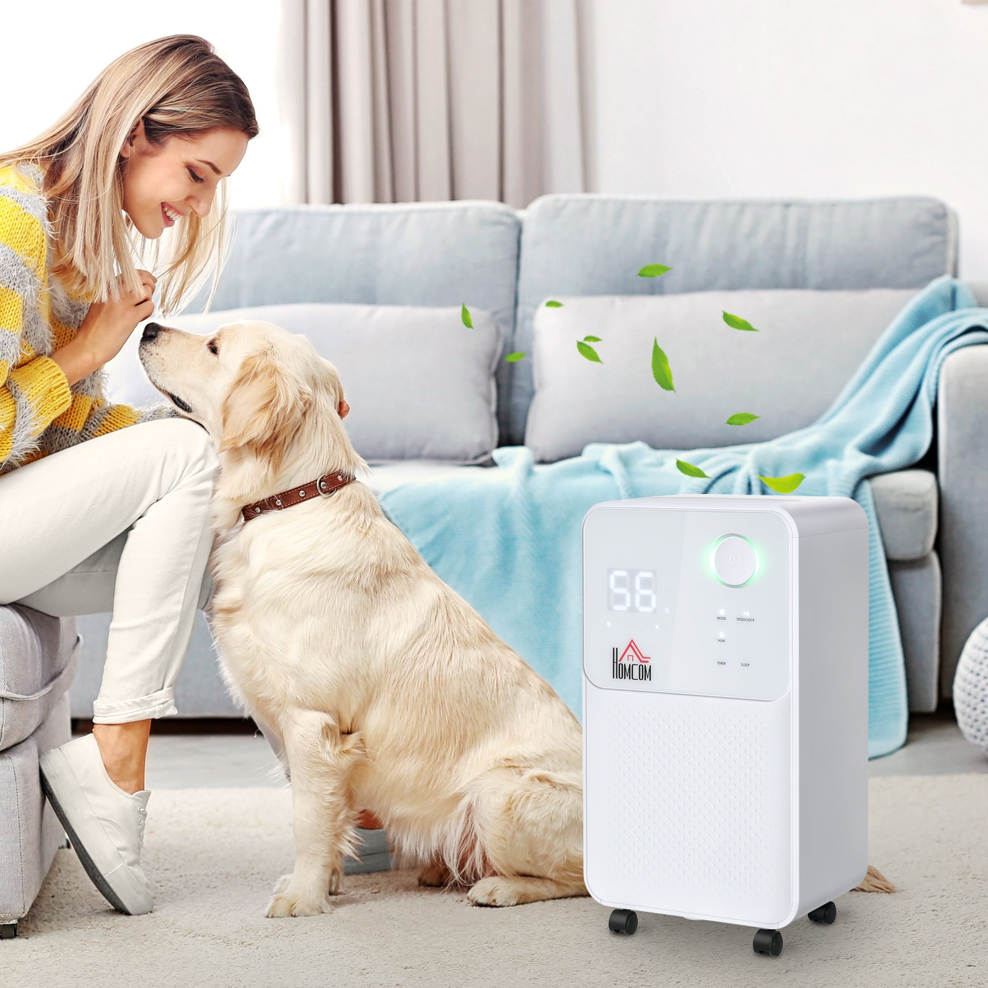 Dehumidifier water tank