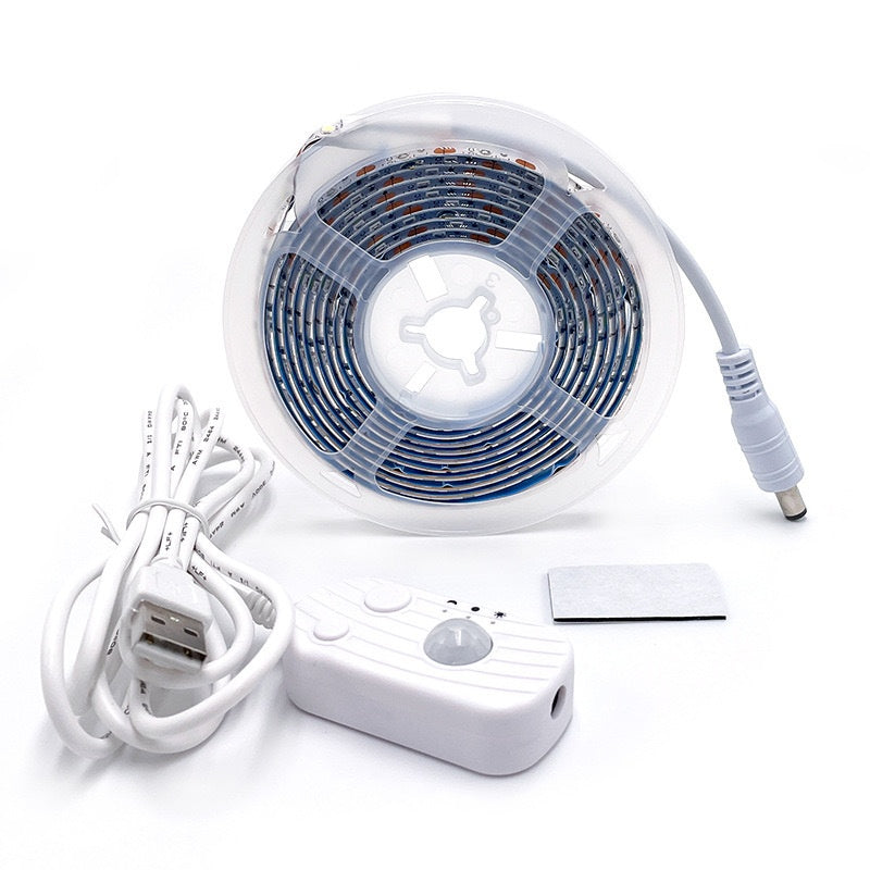 Motion Sensor Light — USB Rechargeable Infrared Night Light